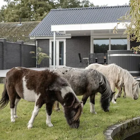 Landelijkhuisje *