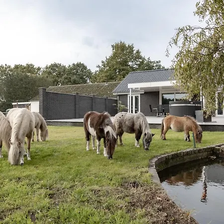Landelijkhuisje *